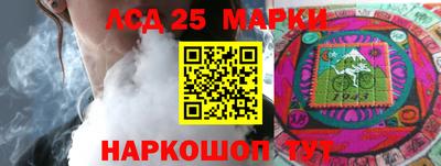 mdpv Заводоуковск