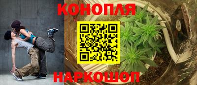 mdpv Заводоуковск