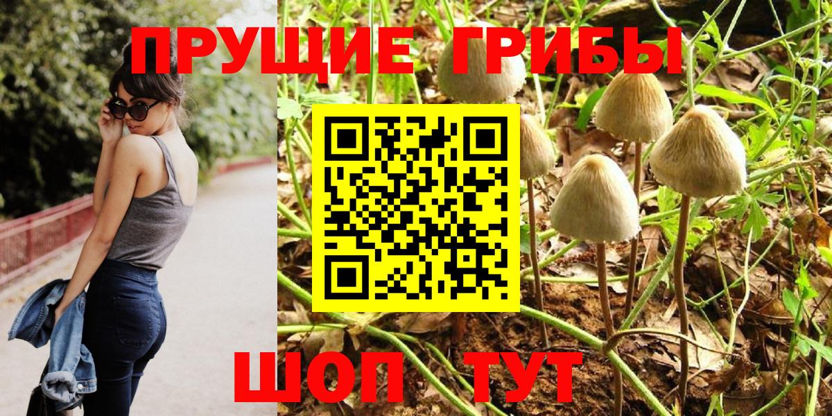 Галлюциногенные грибы MAGIC MUSHROOMS  Вход с VPN  Псилоцибиновые грибы Cubensis  Северск 
