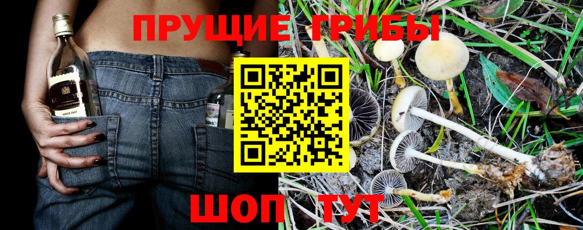 Галлюциногенные грибы мухоморы  закладка  Северск 