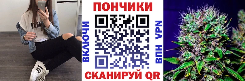 как найти закладки Северск Бошки Шишки SATIVA & INDICA